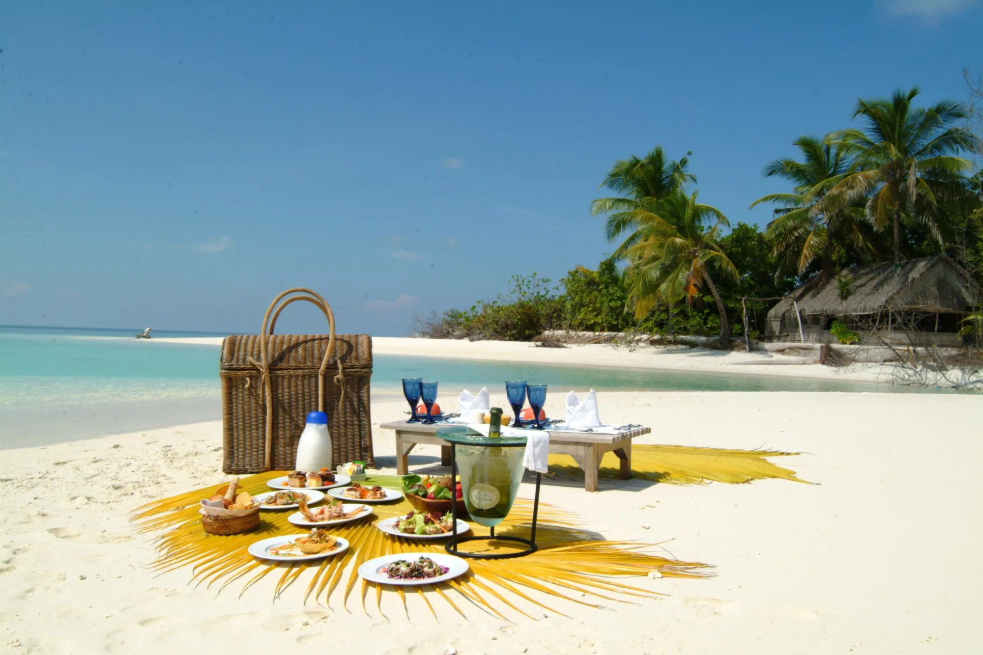 Go on a Picnic - Image 4