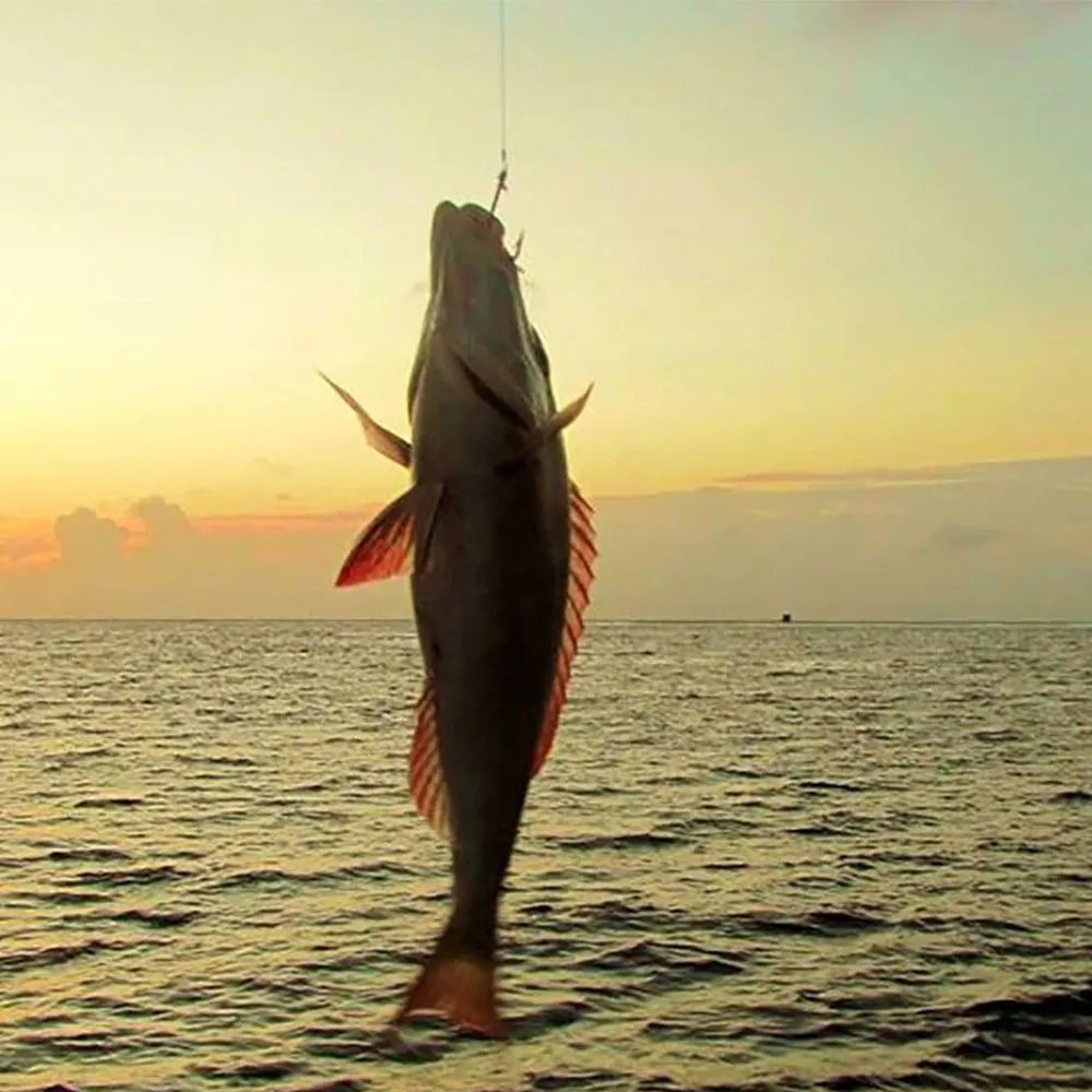 Sunset Fishing